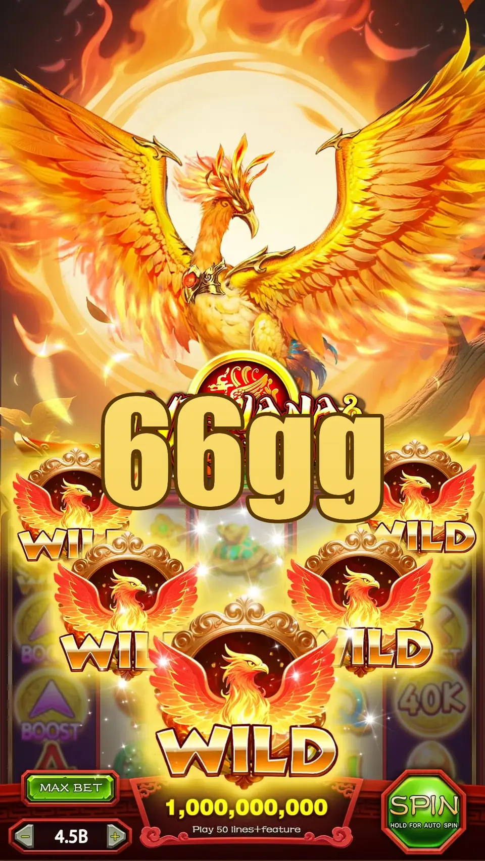 66gg Login